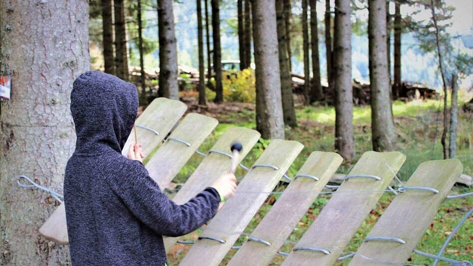 Theme path Rowanberry Panorama Path - Touren-Impression #2.5 | © Oststeiermark Tourismus