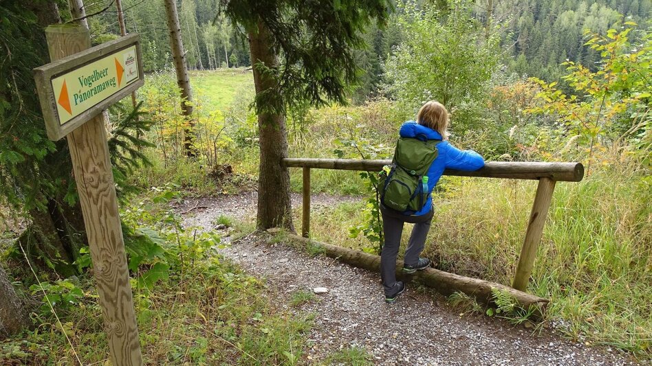 Theme path Rowanberry Panorama Path - Touren-Impression #2.8 | © Oststeiermark Tourismus