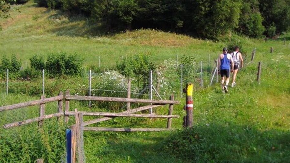 Trailrunning Kainacher Bergmarathon: Laufstrecke Marathon - Touren-Impression #2.1 | © TUS-Kainach