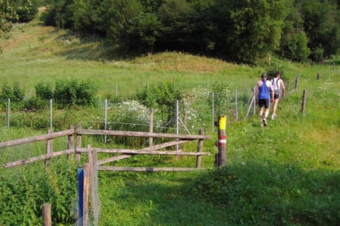 Trailrunning Kainacher Bergmarathon: Laufstrecke Marathon - Touren-Impression #1 | © TUS-Kainach