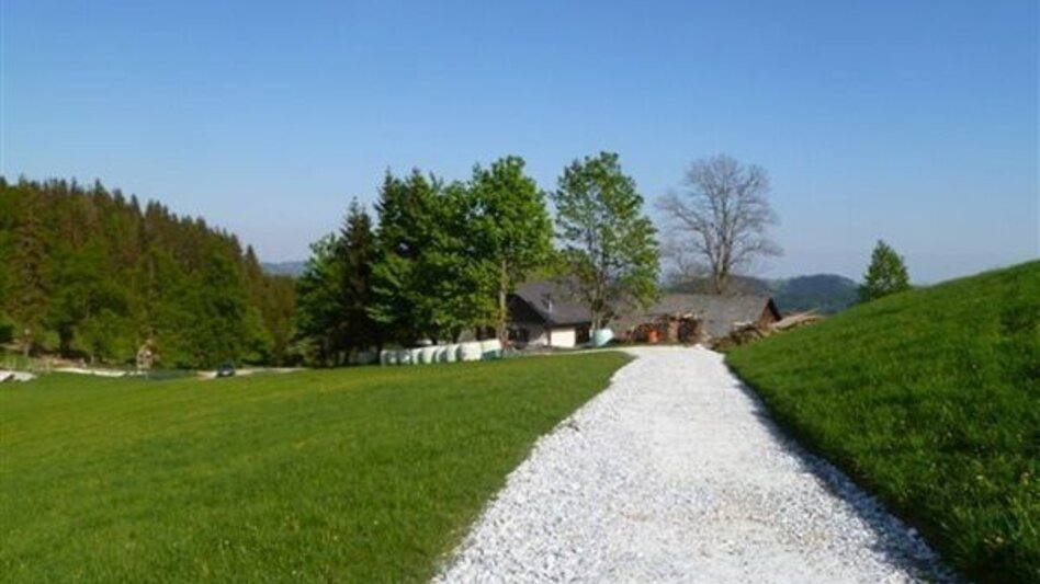 Trailrunning Kainacher Bergmarathon: Laufstrecke Marathon - Touren-Impression #2.2 | © TUS-Kainach