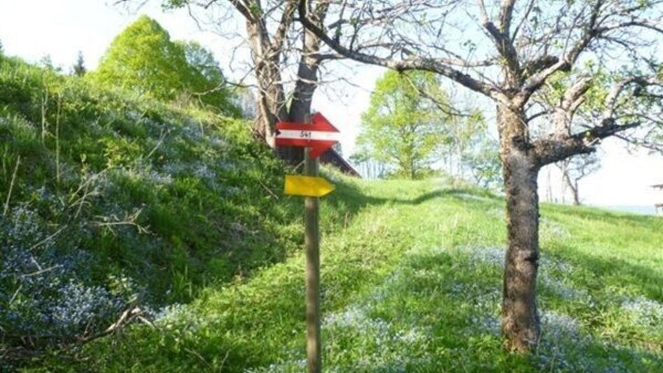 Trailrunning Kainacher Bergmarathon: Laufstrecke Marathon - Touren-Impression #2.3 | © TUS-Kainach
