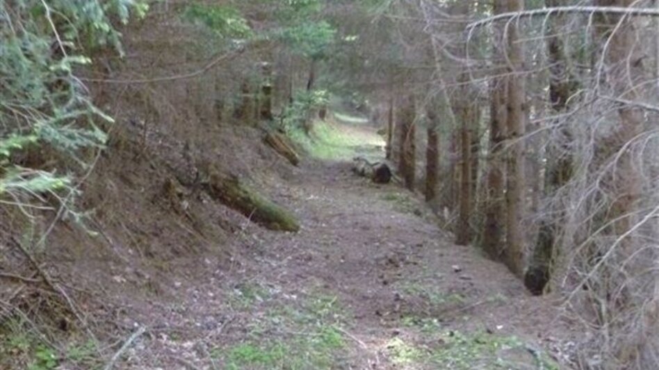 Trailrunning Kainacher Bergmarathon: Laufstrecke Marathon - Touren-Impression #2.4 | © TUS-Kainach