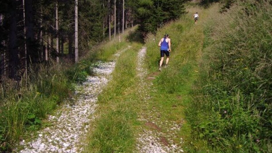 Trailrunning Kainacher Bergmarathon: Laufstrecke Marathon - Touren-Impression #2.6 | © TUS-Kainach