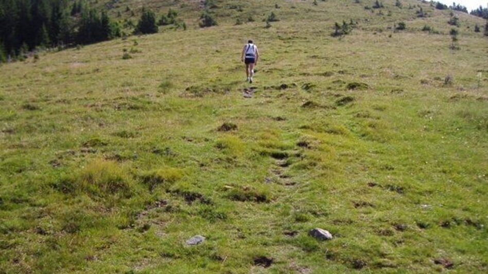 Trailrunning Kainacher Bergmarathon: Laufstrecke Marathon - Touren-Impression #2.9 | © TUS-Kainach