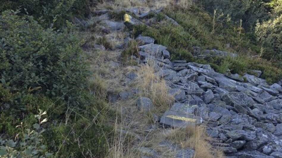 Trailrunning Kainacher Bergmarathon: Laufstrecke Marathon - Touren-Impression #2.12 | © TUS-Kainach