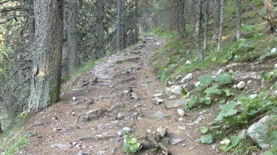 Trailrunning Kainacher Bergmarathon: Laufstrecke Marathon - Touren-Impression #2.14 | © TUS-Kainach