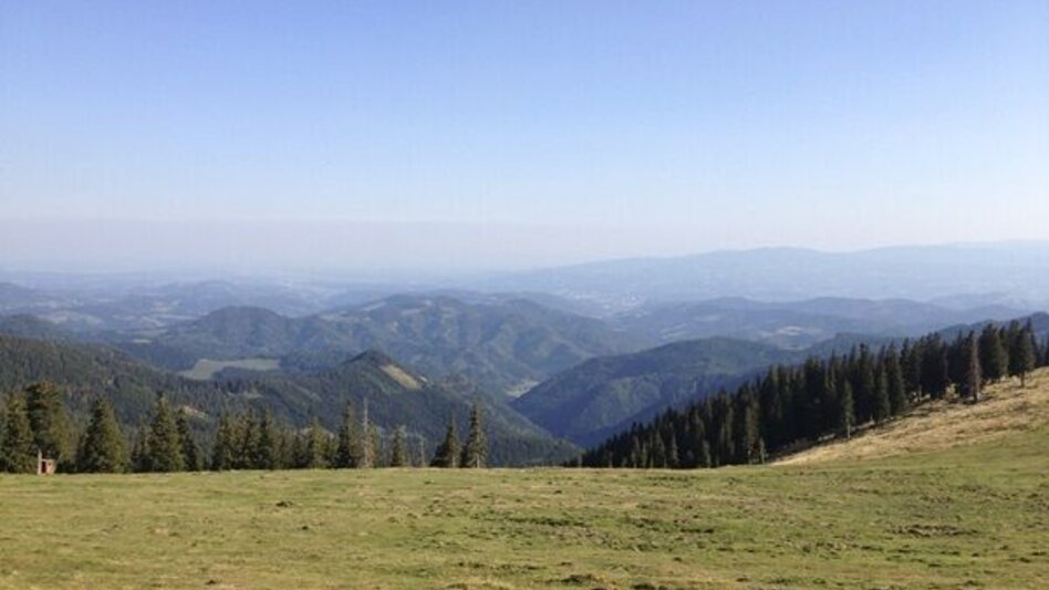 Trailrunning Kainacher Bergmarathon: Laufstrecke Marathon - Touren-Impression #2.15 | © TUS-Kainach
