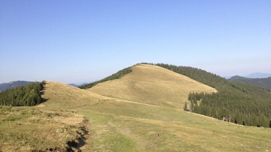 Trailrunning Kainacher Bergmarathon: Laufstrecke Marathon - Touren-Impression #2.16 | © TUS-Kainach