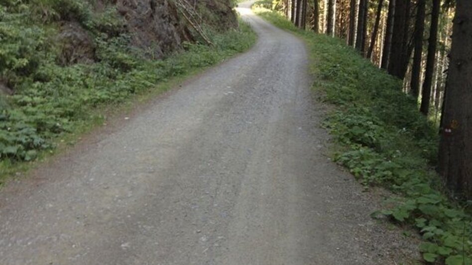 Trailrunning Kainacher Bergmarathon: Laufstrecke Marathon - Touren-Impression #2.17 | © TUS-Kainach