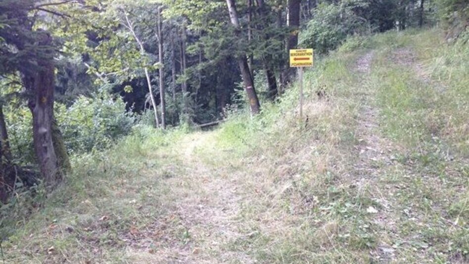 Trailrunning Kainacher Bergmarathon: Laufstrecke Marathon - Touren-Impression #2.19 | © TUS-Kainach