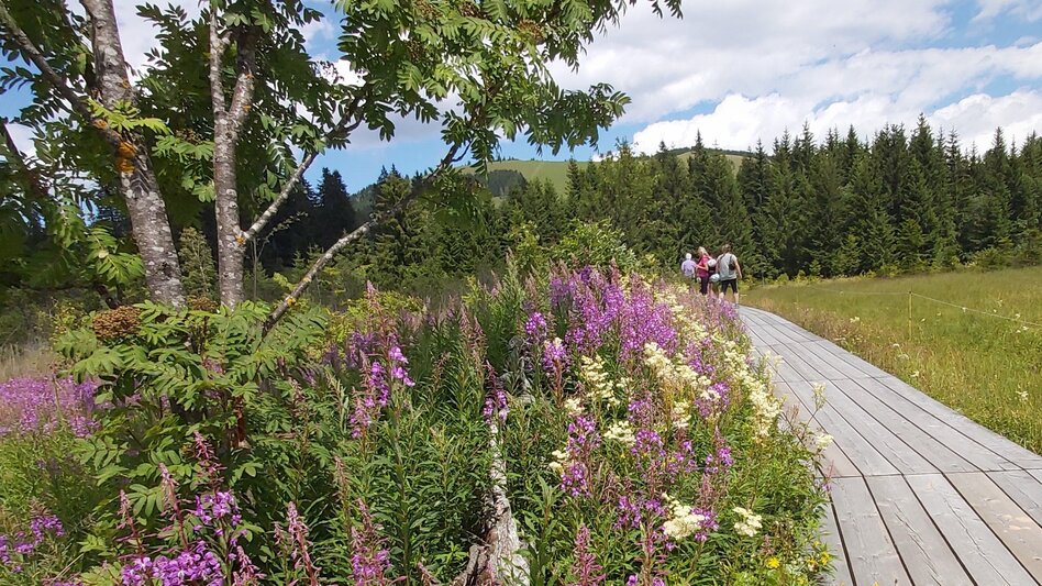 Hiking route Moor nature trail, Teichalm - Touren-Impression #2.1 | © Oststeiermark Tourismus