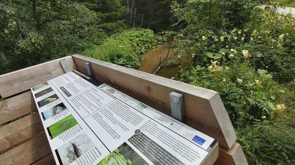 Hiking route Moor nature trail, Teichalm - Touren-Impression #2.2 | © Oststeiermark Tourismus