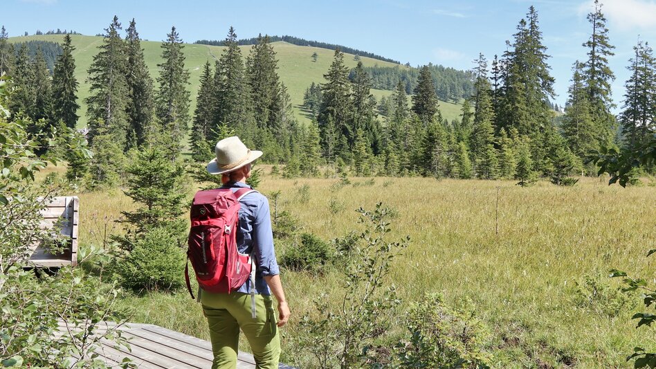 Hiking route Moor nature trail, Teichalm - Touren-Impression #2.5 | © Oststeiermark Tourismus