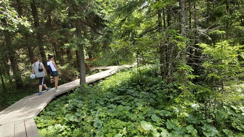 Hiking route Moor nature trail, Teichalm - Touren-Impression #2.6 | © Oststeiermark Tourismus