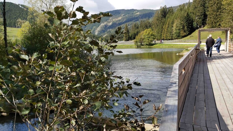 Hiking route Moor nature trail, Teichalm - Touren-Impression #2.8 | © Oststeiermark Tourismus