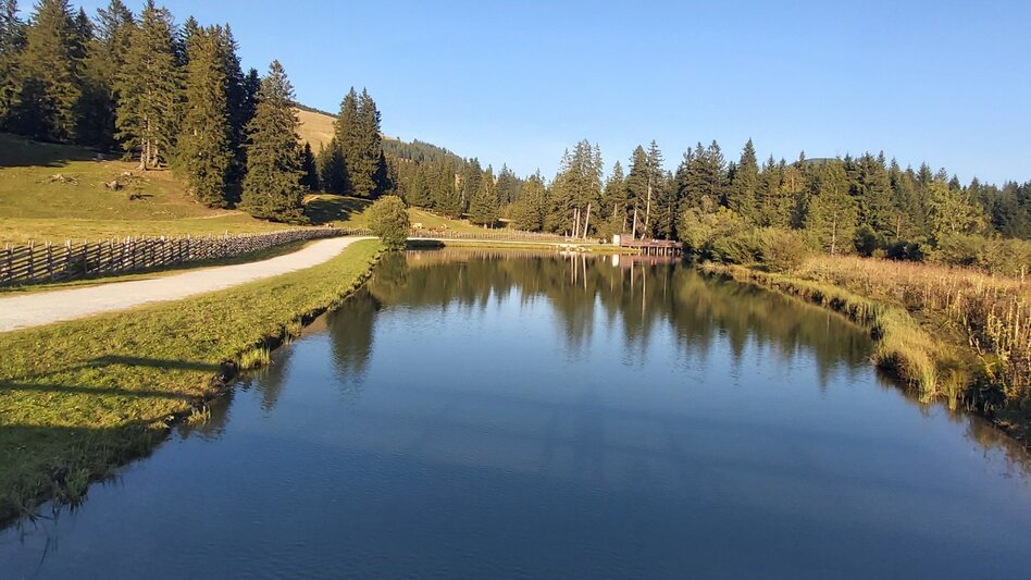 Hiking route Moor nature trail, Teichalm - Touren-Impression #2.10 | © Oststeiermark Tourismus