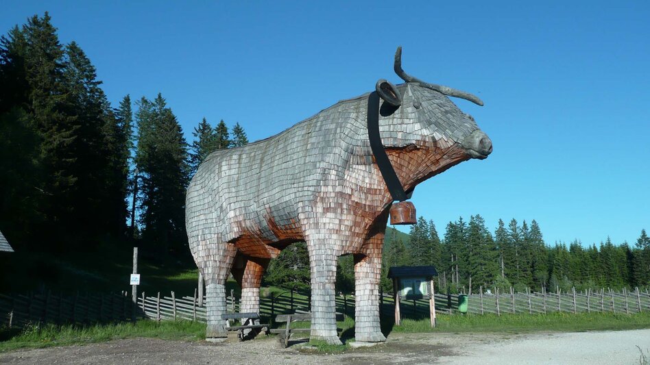 Hiking route Moor nature trail, Teichalm - Touren-Impression #2.11 | © Oststeiermark Tourismus