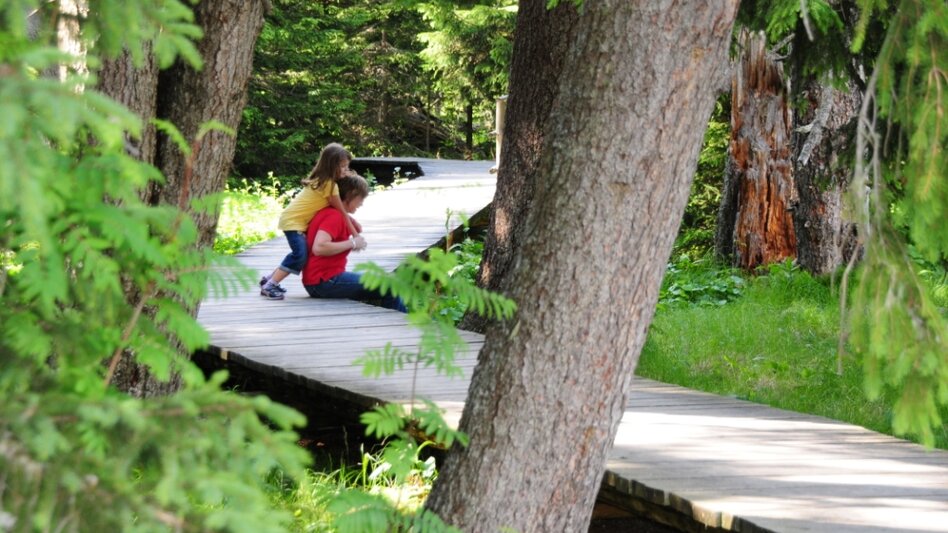 Hiking route Moor nature trail, Teichalm - Touren-Impression #2.3 | © Oststeiermark Tourismus