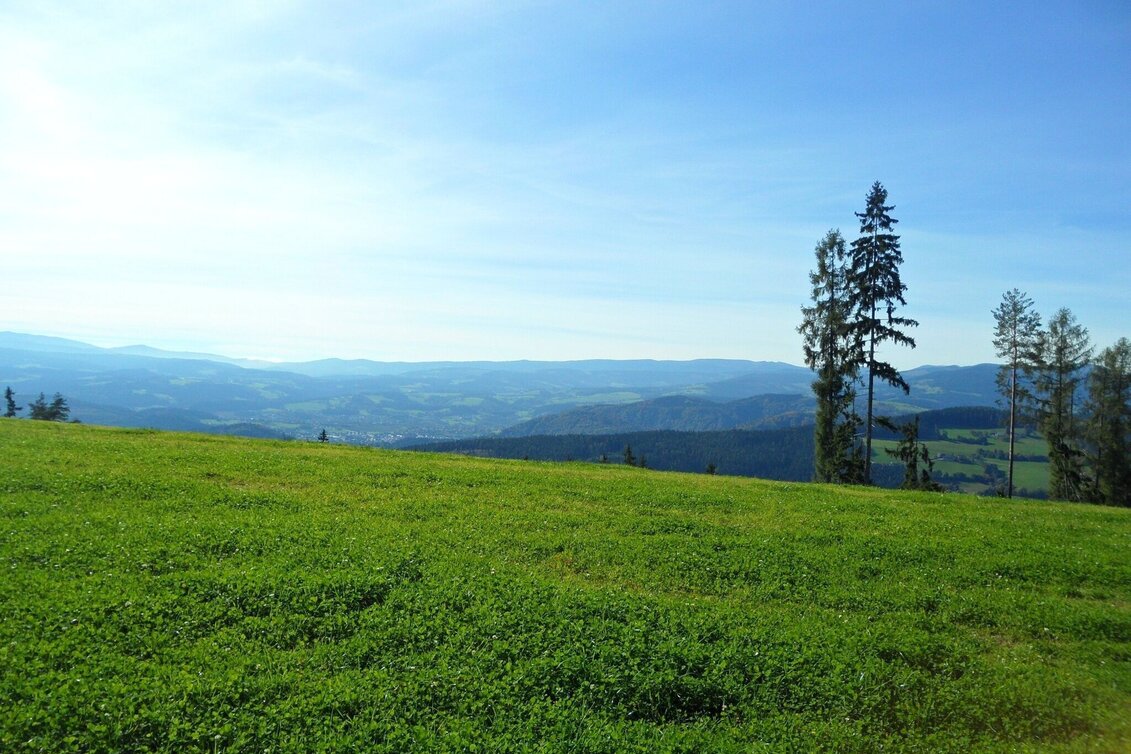 Bike Riding Lipizzanerheimat Hill Tour - Touren-Impression #1 | © Region Graz