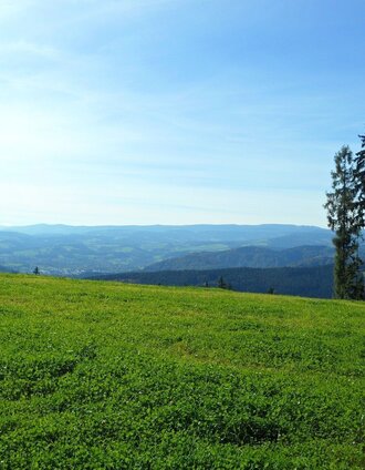 Hochtregister Pilgerkreuz_Ausblick | TV Lipizzanerheimat_EU | © Region Graz