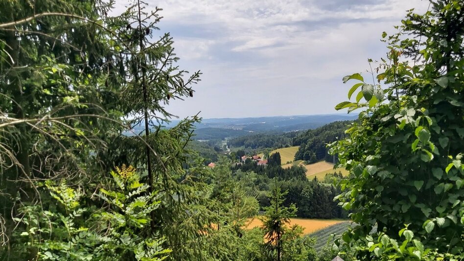 Hiking route Grubbründlweg, Anger near Weiz - Touren-Impression #2.7 | © Oststeiermark Tourismus
