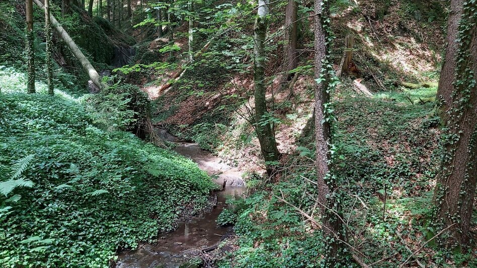 Hiking route Grubbründlweg, Anger near Weiz - Touren-Impression #2.9 | © Oststeiermark Tourismus