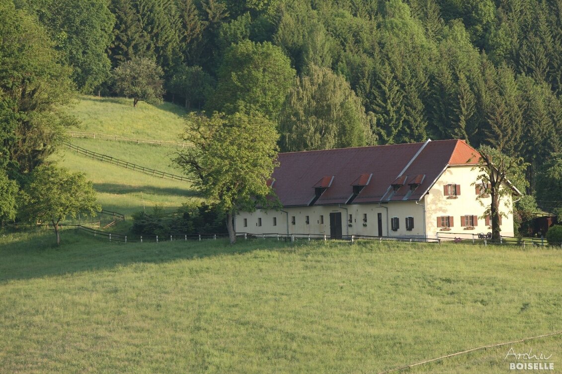 Bike Riding Kleine Gestütstour: Auf den Spuren der Lipizzaner - Touren-Impression #1 | © SRS-Bundesgestüt Piber