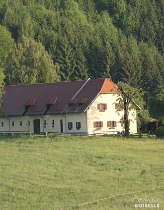 Außenhof Kampl | Archive Boiselle | © SRS-Bundesgestüt Piber