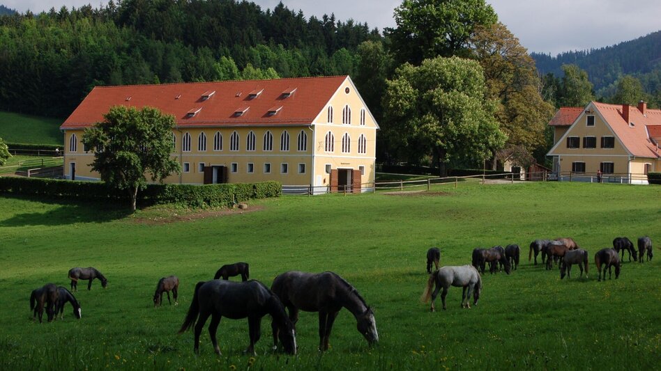 Bike Riding Kleine Gestütstour: Auf den Spuren der Lipizzaner - Touren-Impression #2.4 | © SRS-Lipizzanergestüt Piber GöR