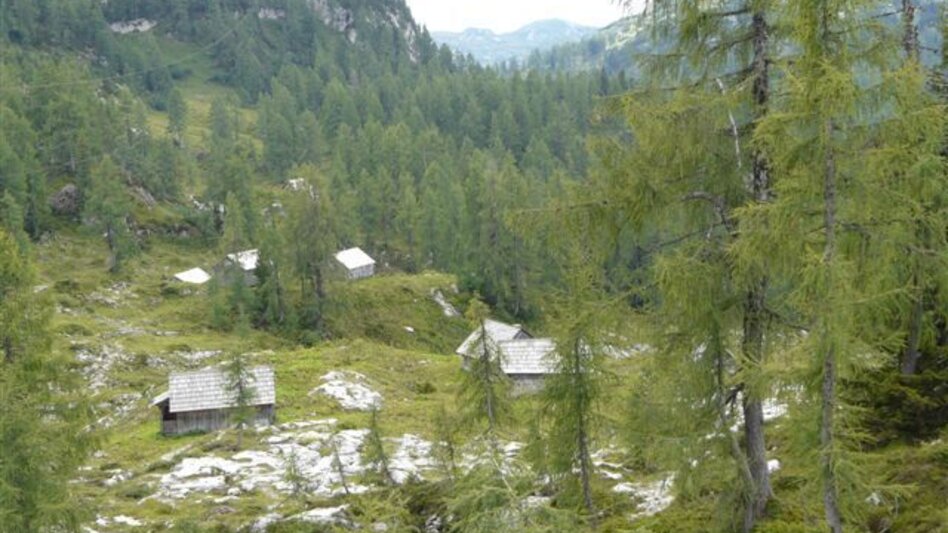 Trailrunning Auf den Backenstein und zum Appelhaus - Touren-Impression #2.6 | © Ausseerland