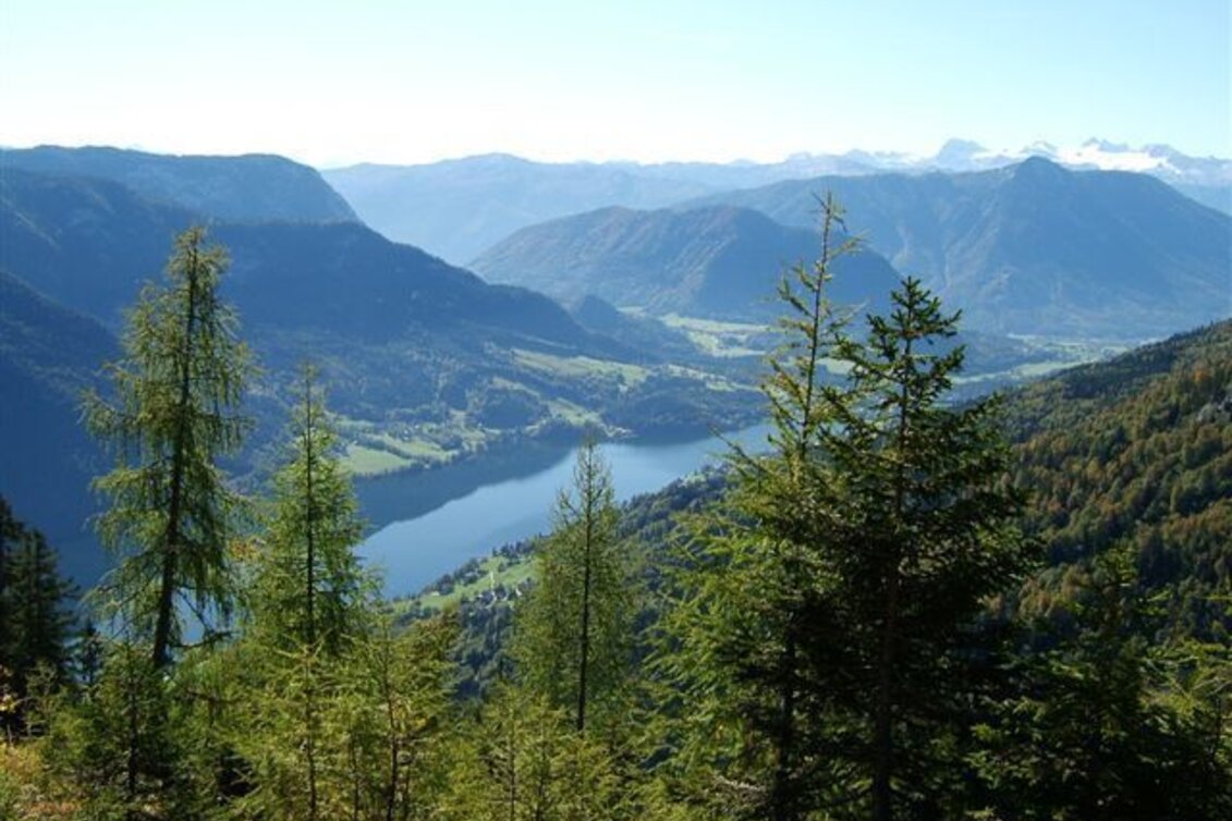 Trailrunning Auf den Backenstein und zum Appelhaus - Touren-Impression #1 | © Ausseerland