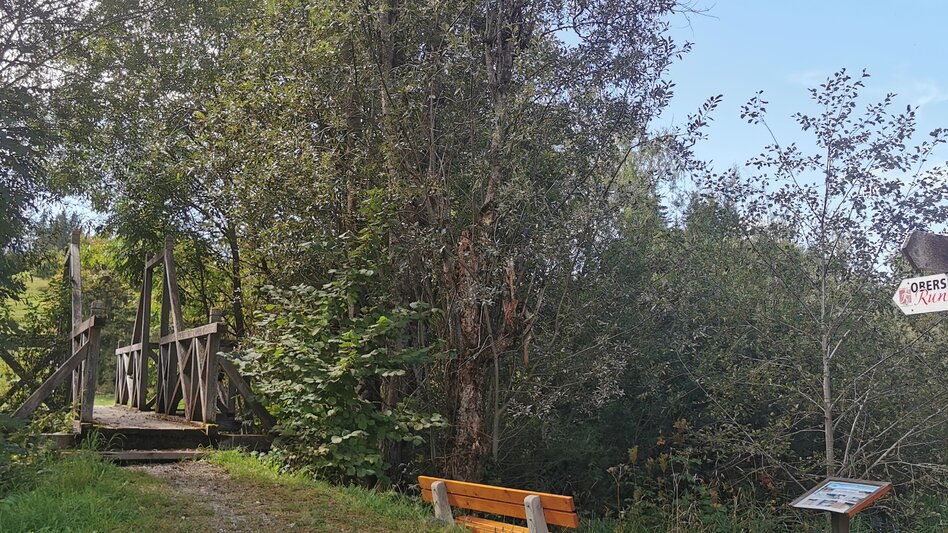 Nordic Walking Obersdorf circular hiking trail - Nordic Walking - Touren-Impression #2.4 | © Ausseerland