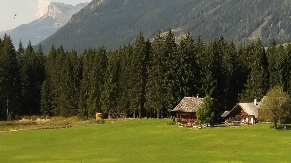 Nordic Walking Steinitzen - Almgraben Runde (GPS-Trail) - Touren-Impression #2.2 | © Tourismusverband Ausseerland - Salzkammergut/C. Arzberger