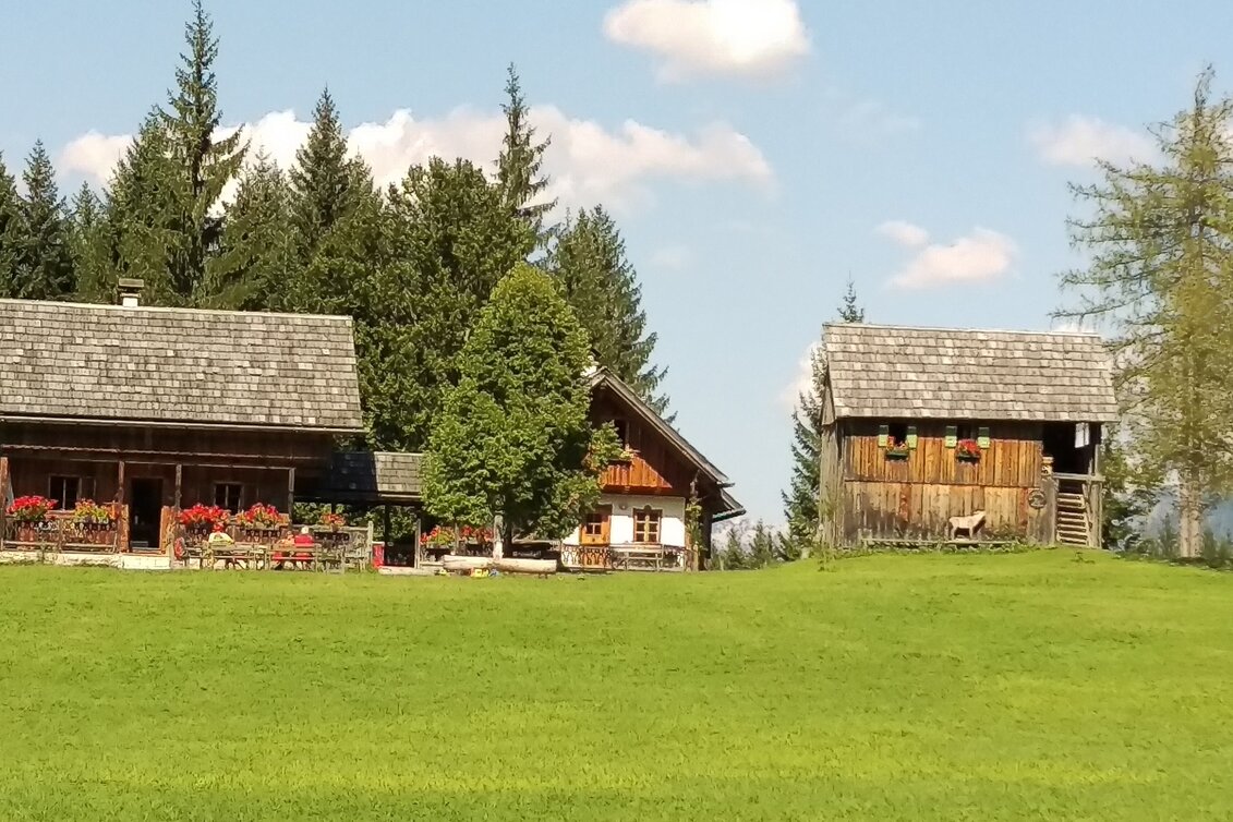 Nordic Walking Steinitzen - Almgraben Runde (GPS-Trail) - Touren-Impression #1 | © Tourismusverband Ausseerland - Salzkammergut/C. Arzberger