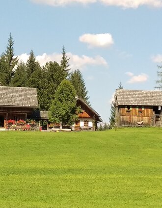 Steinitzenalm | Siegfried Zink | © Tourismusverband Ausseerland - Salzkammergut/C. Arzberger