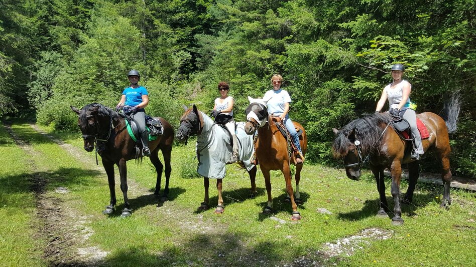 Reiten Reitweg Bad Aussee - Radling - Bad Mitterndorf - Touren-Impression #2.3 | © TVB Ausseerland - Salzkammergut/K. Ceipek