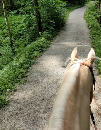 reiten-im-ausseerland-foto-michaela-schilcher_1.jpg | Michaela Schilcher | © Tourismusverband Ausseerland Salzkammergut