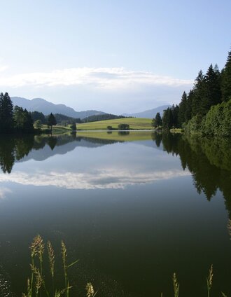 Muhrenteich | Harry Schiffer | © Tourismusverband Murau