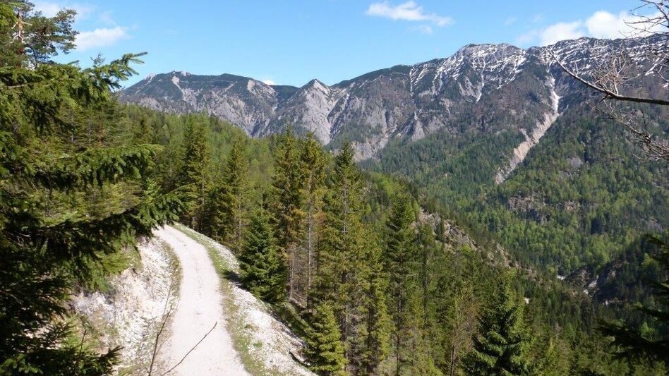 Mountain Biking Mountain Bike Wildalpen / Connoisseur Route Krumpen-Abbrenn - Touren-Impression #2.3 | © Tourismusverband Wildalpen