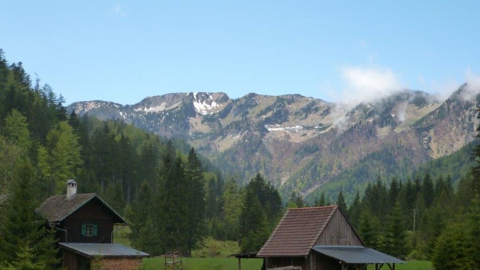 Mountain Biking Mountain Bike Wildalpen / Connoisseur Route Krumpen-Abbrenn - Touren-Impression #2.5 | © Tourismusverband Wildalpen