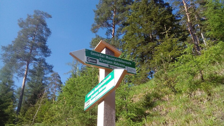 Mountain Biking Mountain Bike Wildalpen / Connoisseur Route Krumpen-Abbrenn - Touren-Impression #2.7 | © Tourismusverband Wildalpen