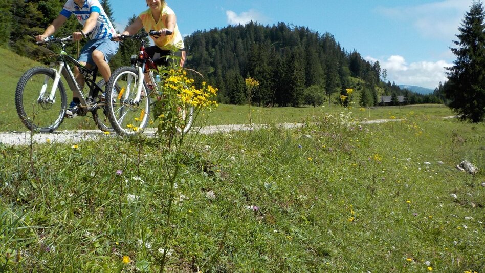 Mountain Biking Mountain Bike Wildalpen / Connoisseur Route Krumpen-Abbrenn - Touren-Impression #2.9 | © Tourismusverband Wildalpen