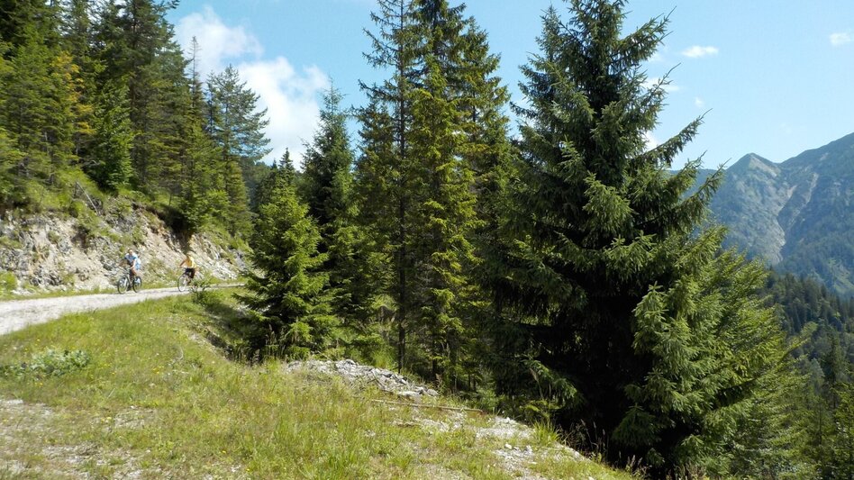 Mountain Biking Mountain Bike Wildalpen / Connoisseur Route Krumpen-Abbrenn - Touren-Impression #2.11 | © Tourismusverband Wildalpen