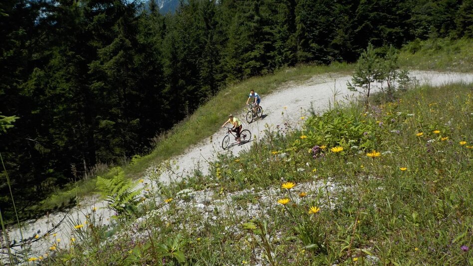 Mountain Biking Mountain Bike Wildalpen / Connoisseur Route Krumpen-Abbrenn - Touren-Impression #2.12 | © Tourismusverband Wildalpen