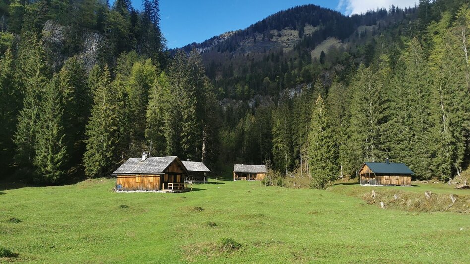 Hiking route Hike to the Zimitzalm - Touren-Impression #2.1 | © Ausseerland
