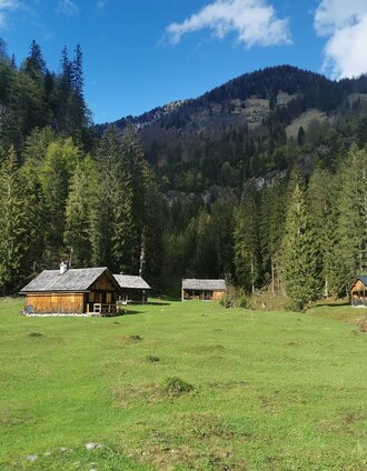 Zimitzalm in Grundlsee | Theresa Schwaiger | © Ausseerland