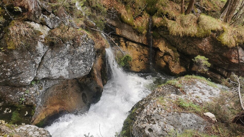 Hiking route Hike to the Zimitzalm - Touren-Impression #2.4 | © Ausseerland