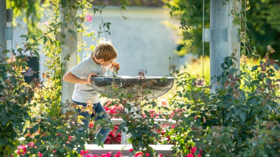 Wanderung Herbersteinweg, Stubenberg - Touren-Impression #2.5 | © Gartenschloss Herberstein