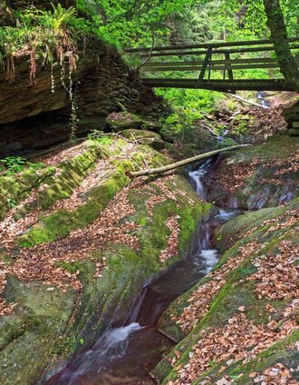 Natur pur, in der Hinterbrühlklamm im ApfelLand Stubenbergsee, Oststeiermark | Ewald Neffe | © Oststeiermark Tourismus